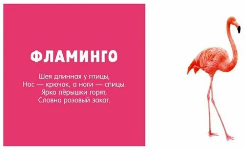 Стих про фламинго