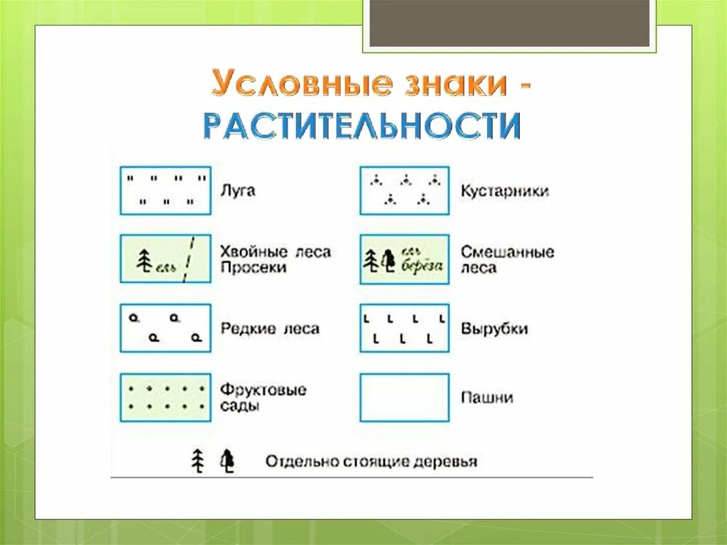Обозначение деревьев на топоплане