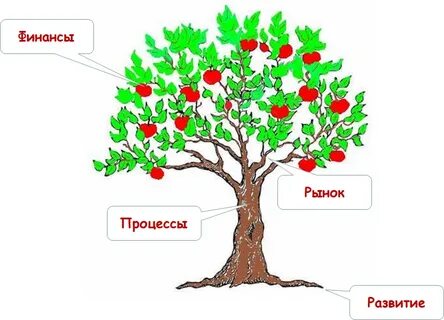 Яблоня окружающий мир
