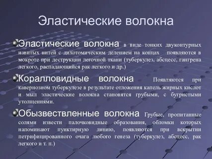 Эластичные волокна характеристика