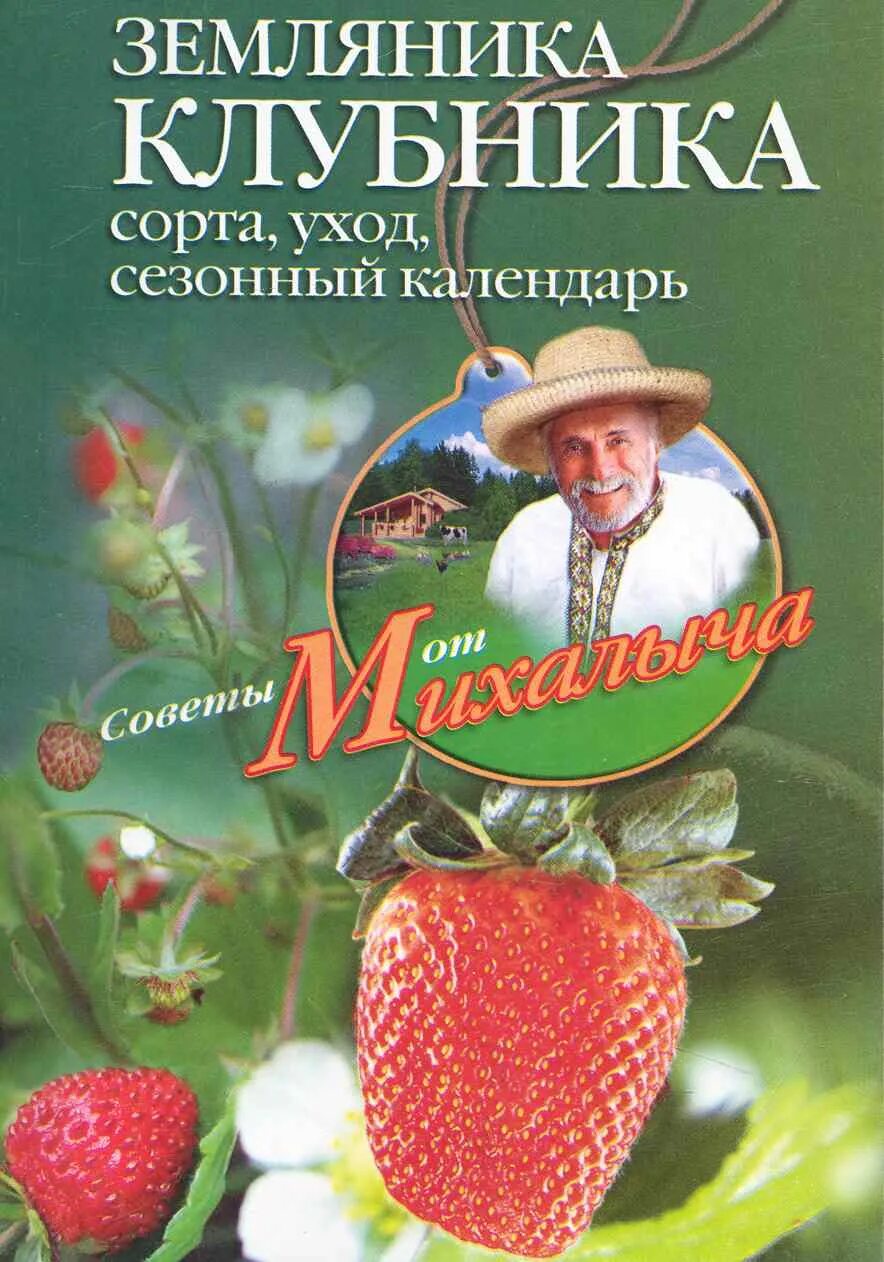 Земляника книга. Книга о клубнике и землянике. Клубника с книжкой. Земляника на обложке книги.