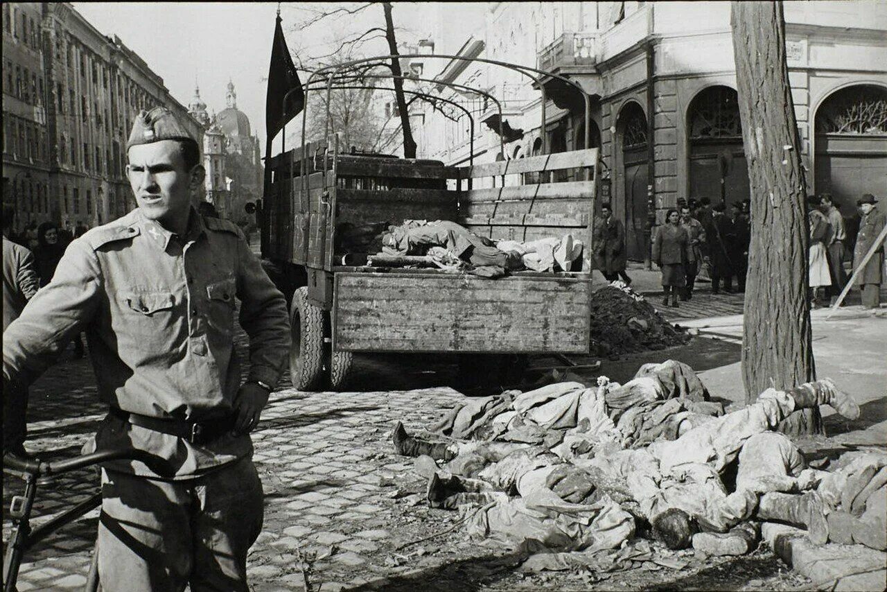 Контрреволюционный мятеж в Венгрии 1956 года. 1956 год по восточному