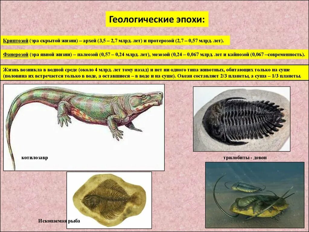 Названия эр которые ученые называют скрытая жизнь. Эра скрытой жизни Эра. Эра скрытой жизни период. Эры явной жизни. Эра скрытой жизни фанерозой.