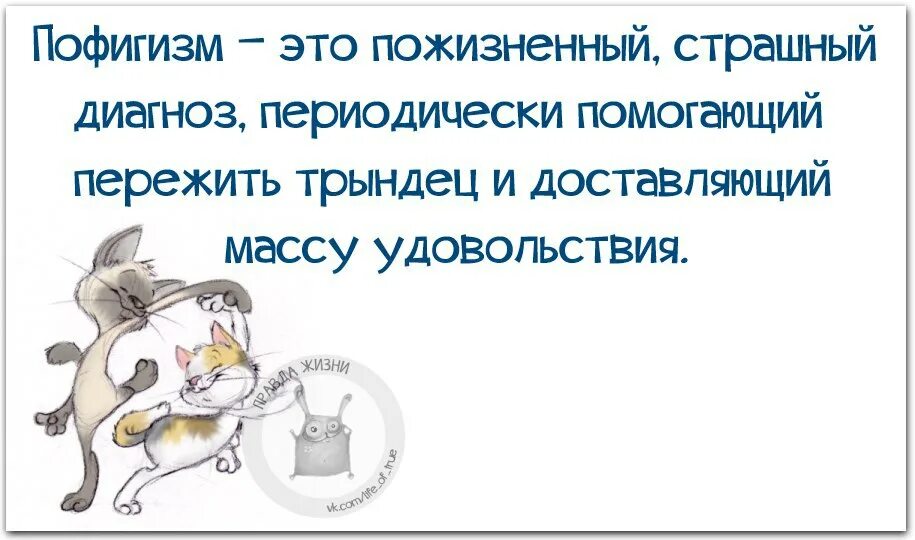 Ценю юмор. Смешные цитаты про пофигизм. Веселые изречения про пофигизм. Смешные фразы про пофигизм. Пофигизм картинки.