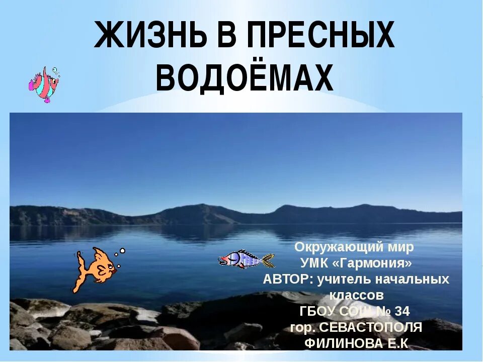 Жизнь в пресной воде. Пресные воды окружающий мир 4 класс. Проект жизнь в пресных Водах. Проект по окружающему миру 4 класс жизнь в пресных Водах. Окружающий мир жизнь пресных водах