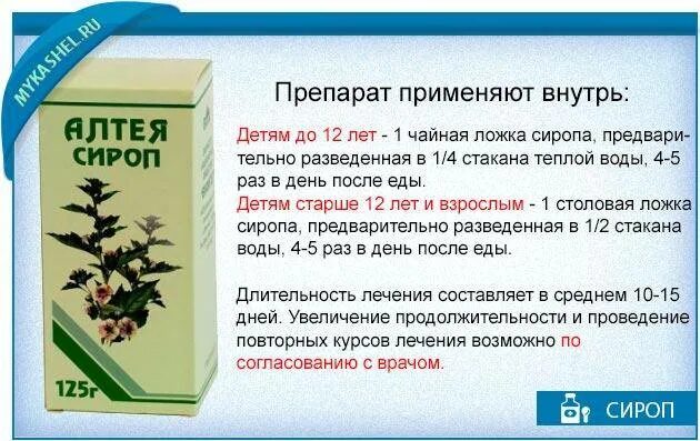 Сколько пить от кашля взрослым. Лекарств от кашля для детей Алтея сироп. Сироп Алтея для детей дозировка. Корень Алтея сироп от кашля. Алтея сироп от кашля инструкция для детей.