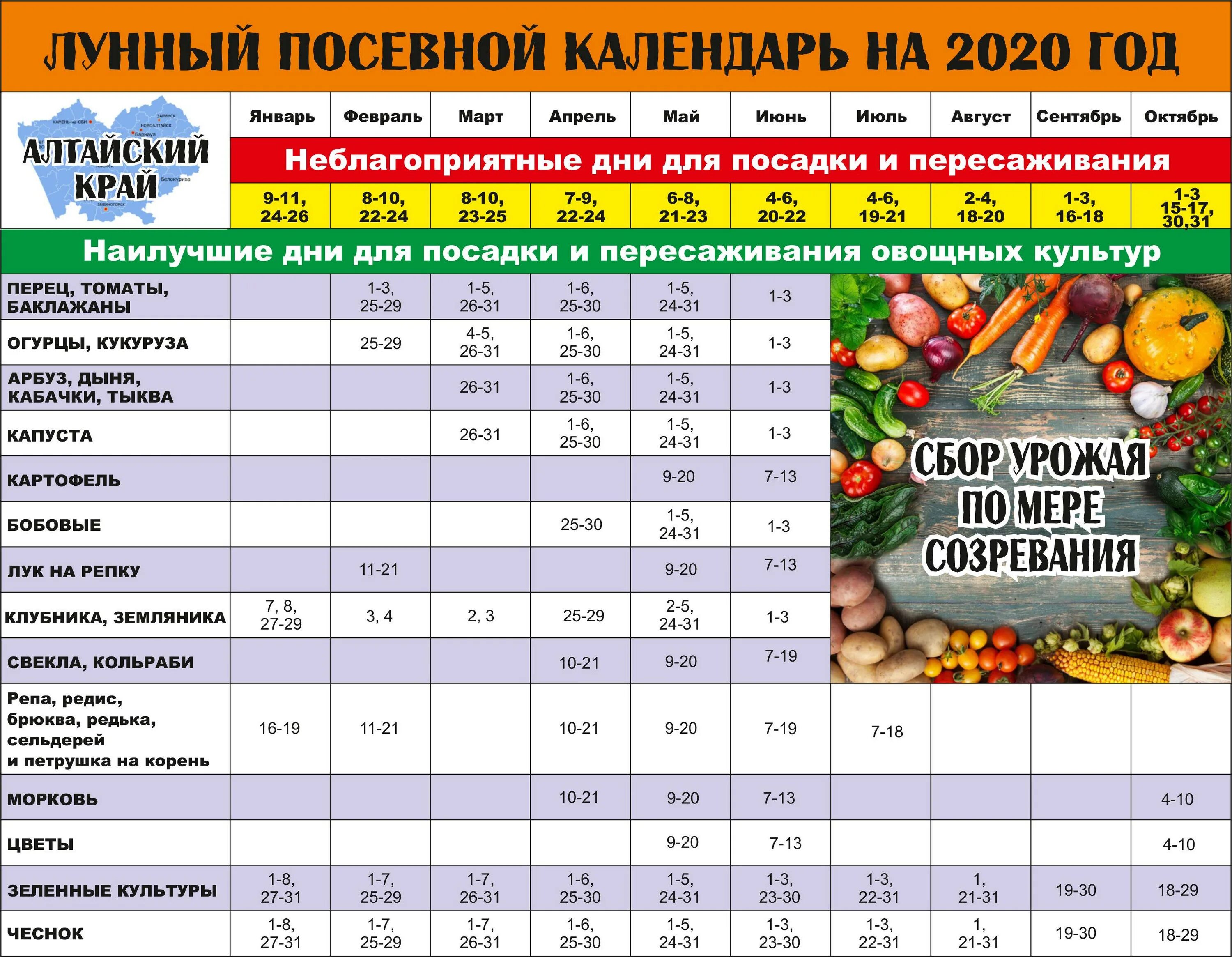 Благоприятные дни для работы с рассадой. Посевной календарь. Лунный посадочный календарь. Лунный календарь для садоводов и огородников. Лунный календарь длчпосадки.