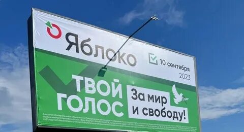 Выбора 8 сентября 2024