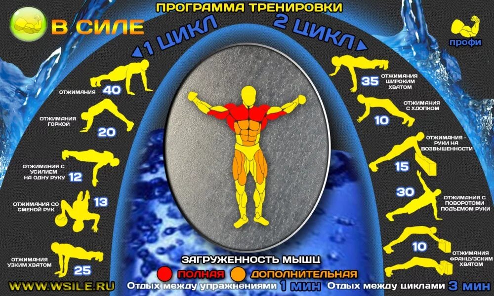 Программа тренировок от пола. Программа отжиманий. план тренировок отжимания. комплекс упражнений отжимания. тренировка отжиманий дома.