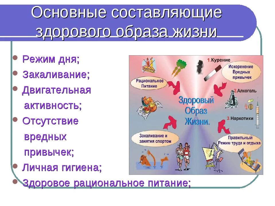 Что относится к слагаемым здорового образа жизни. Основные составляющие здорового образа жизни ОБЖ. Составляющие здорового образа жизни ОБЖ таблица. Каковы составляющие здорового образа жизни. Перечислите составляющие здорового образа жизни.