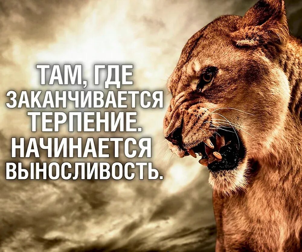 Философские картинки. Терпение заканчивается там. Афоризмы про терпение. Высказывания про терпение. Терпение белый.