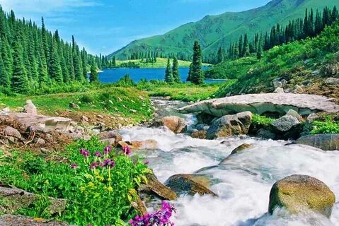 Орыс қыздары кімнің қынабы тереңірек екенін өлшейді (порно)