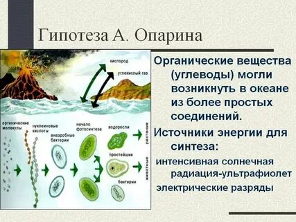 Суть гипотезы опарина