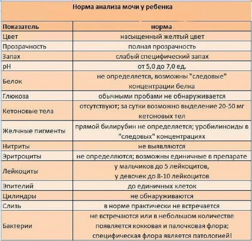 Изменения показателей мочи. Общий анализ мочи у новорожденных норма. Анализ мочи у ребенка 2 месяца норма. Нормальные показатели анализа мочи у детей. Анализ мочи ребенка 2 месяца норма таблица.