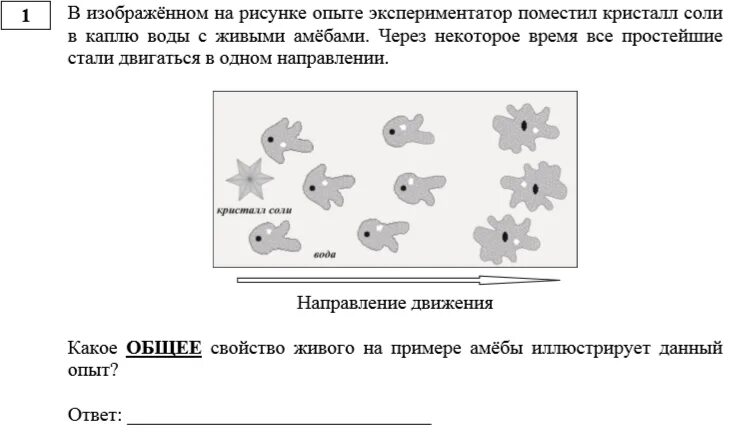 Решу огэ биология 2025 с ответами. Первое задание из огэ по биологии 2025. огэ по биологии 2025 задания. задания по биологии. огэ по биологии задания.