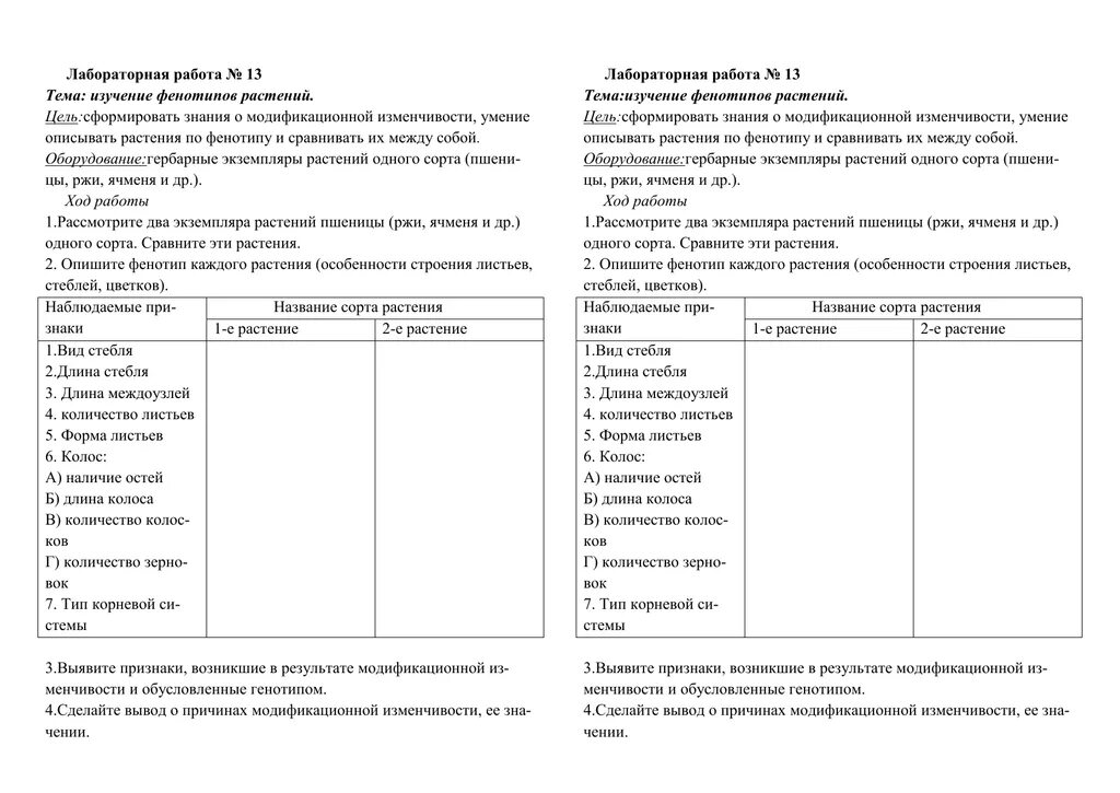 Практическая работа 11 10 класс. Описание фенотипов растений лабораторная. Изучение фенотипов растений 9 класс. Лабораторная по биологии 11 класс выявление изменчивости. Лабораторная работа описание фенотипов комнатных растений 9 класс.