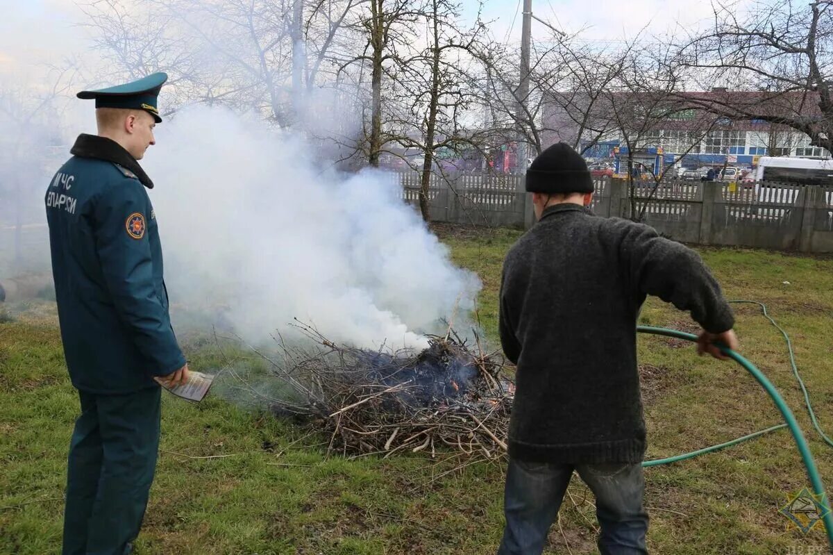 Какой штраф за поджог. Сжечь траву на участке. Сжигание сухой травы на дачном участке.