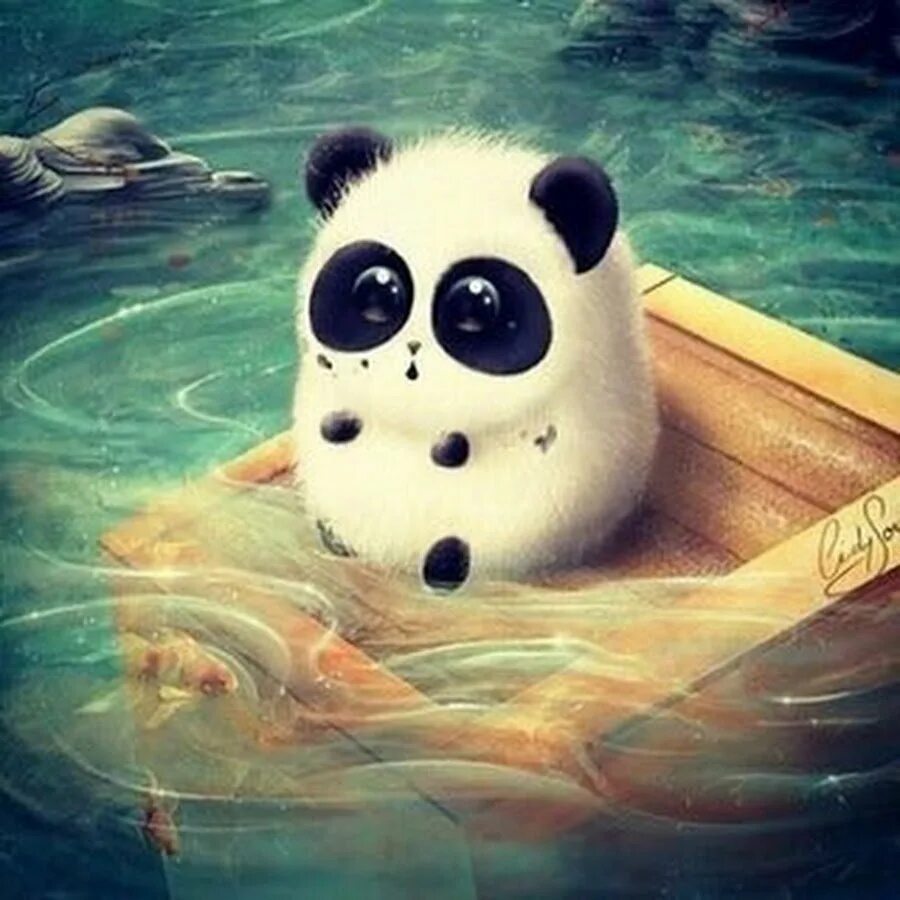 Panda 0