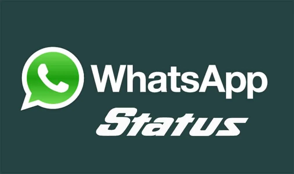 Статус контакта whatsapp. WHATSAPP status. Статусы для WHATSAPP. Status лого. Статус вакансии вацап.