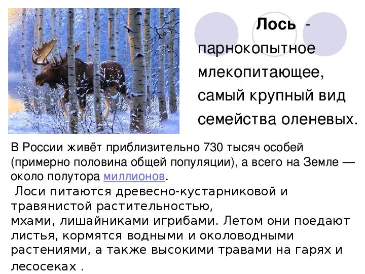 Словосочетание лось. Составление рассказа по репродукции картины а.с. Степанова «лоси». Сочинение по картине лоси 2 класс презентация. Рассказ по картине лоси 2 класс школа России. Сочинение по картине а с Степанова лоси 2 класс русский язык.