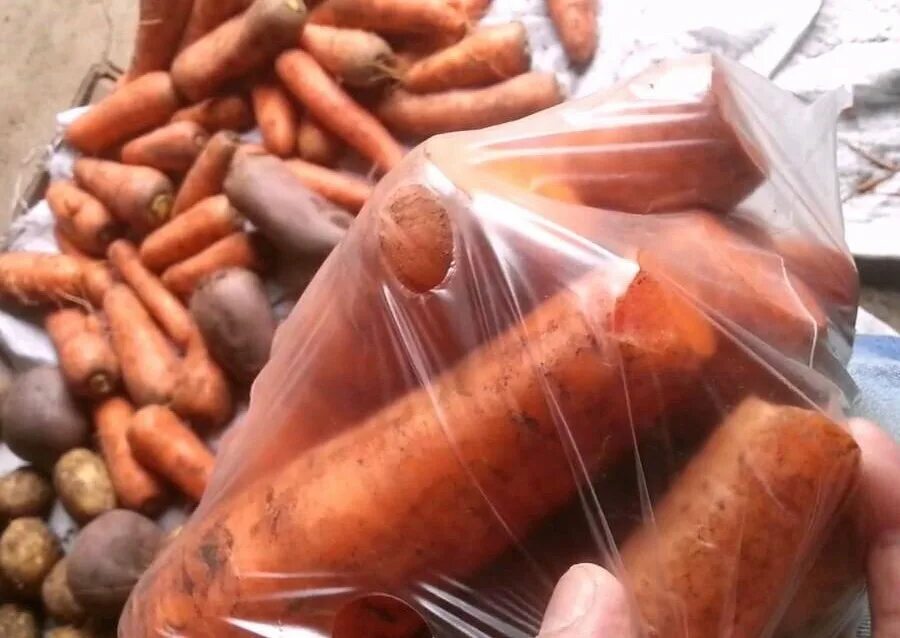 Как хранить морковь в квартире. Хранение моркови в полиэтиленовых мешках. Способы хранения моркови. Хранение моркови в песке. Хранение моркови в погребе на зиму способы.