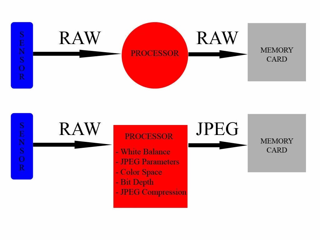 Файлы формата raw. Raw и jpeg. форматы raw и jpeg. raw jpeg разница. формат рав и джипег.