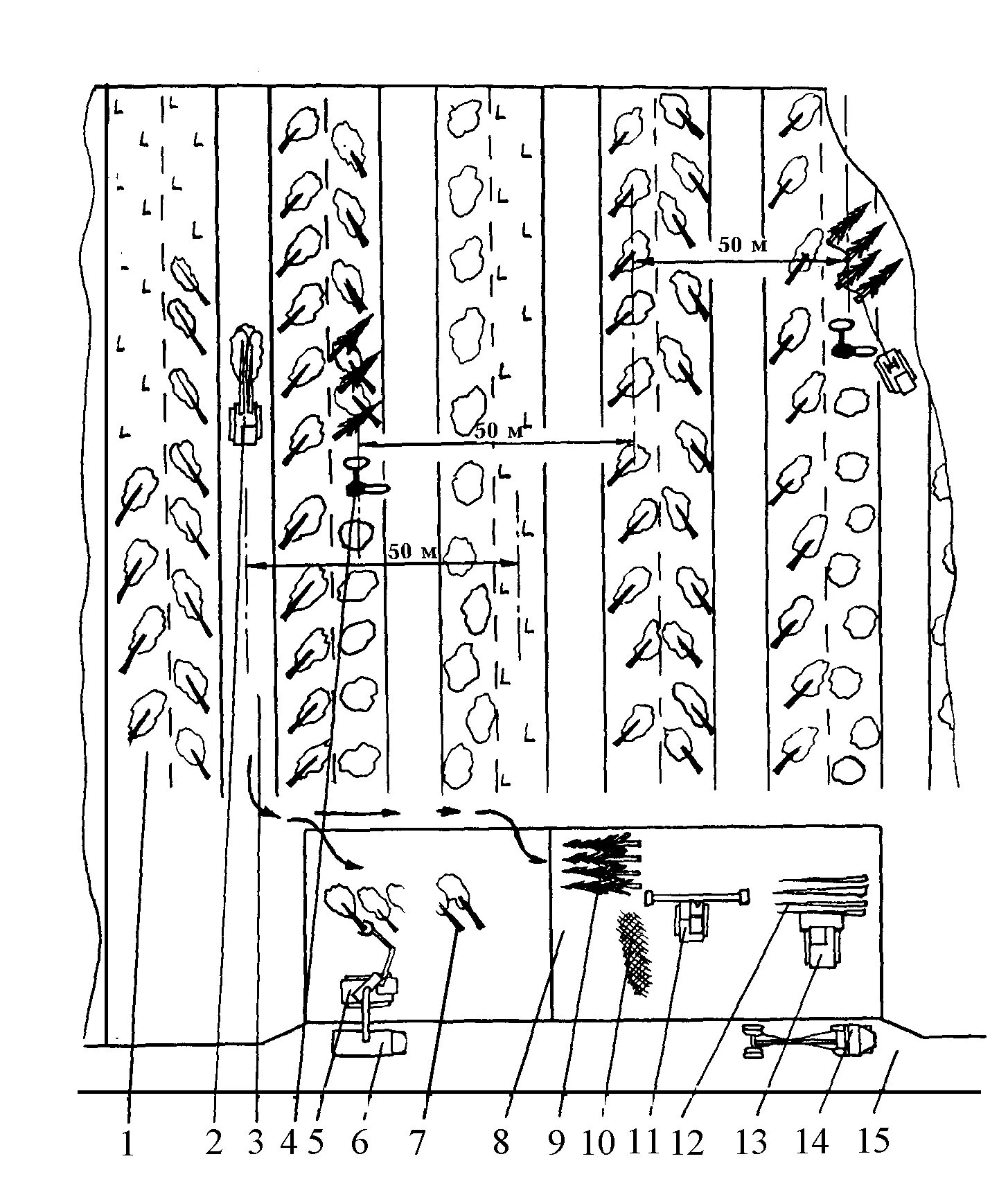 Схема разработки лесосек сплошная рубка. Технологическая карта разработки лесосеки Харвестером. Схема разработки лесосеки Харвестером. Схема разработки пасеки бензопилой. Сплошные выборочные рубки