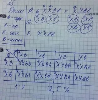 Вероятность рождения ребенка с дальтонизмом