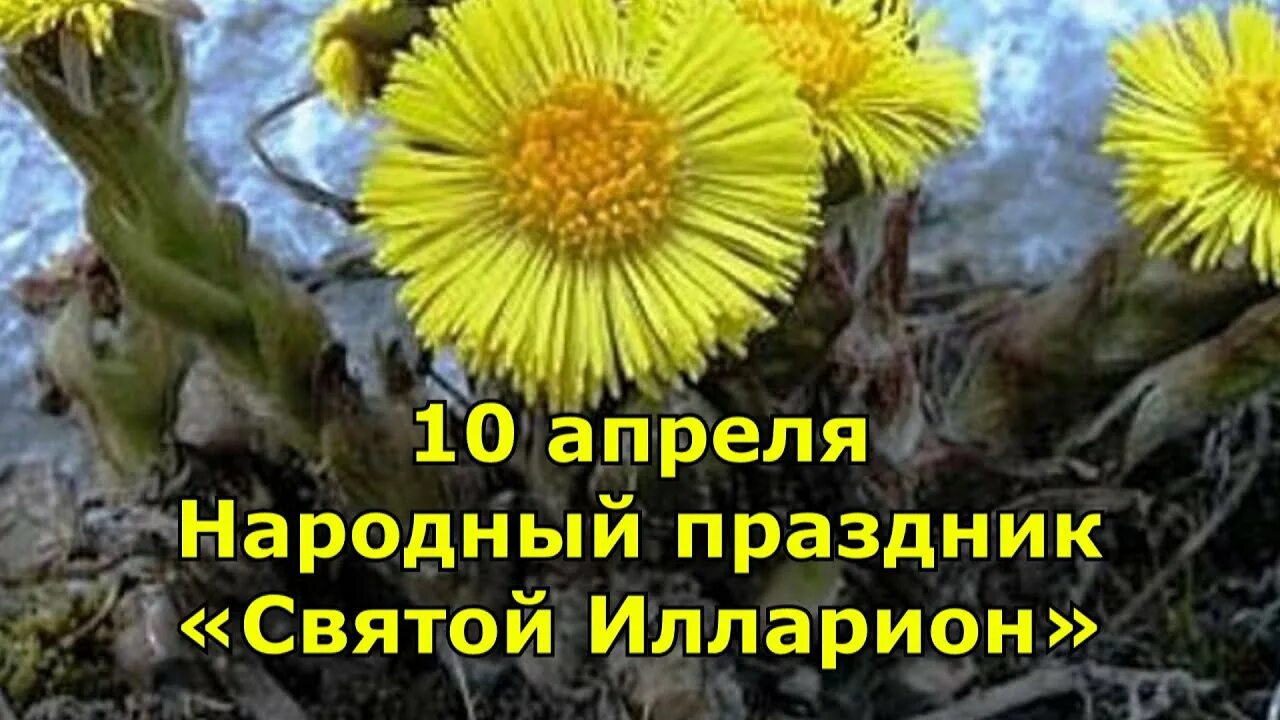 Приметы на 10 апреля 2024 года