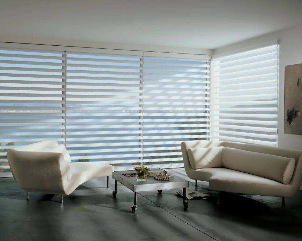 Hunter Douglas рулонные шторы. Hunter Douglas жалюзи. Жалюзи горизонтальные Hunter Douglas. Жалюзи Zebra Perde.