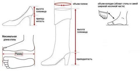 Голенище человека