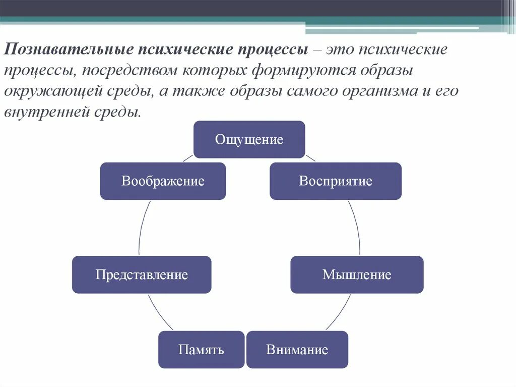 Ощущения память мышление воображение восприятие. Перечислите основные психологические Познавательные процессы. Психологические Познавательные процессы в психологии. Когнитивные психические процессы. Позаваткльныепроцессы.