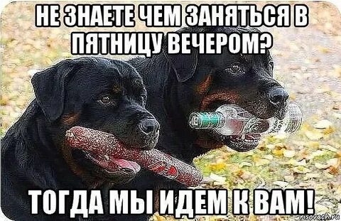 Где провести пятницу