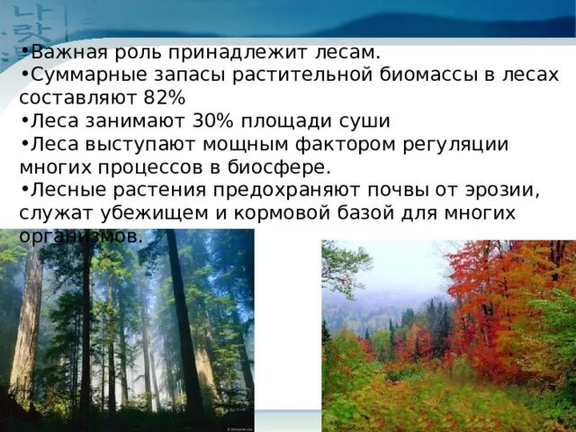 Жизнь на поверхности суши леса презентация 6. Жизнь на поверхности суши леса 6 класс география. Биомасса леса. Жизнь на поверхности суши леса презентация.