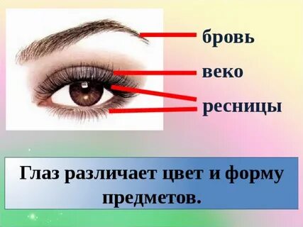 Функция ресниц