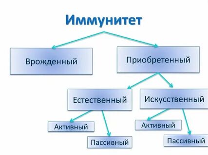 Приобретенный искусственный
