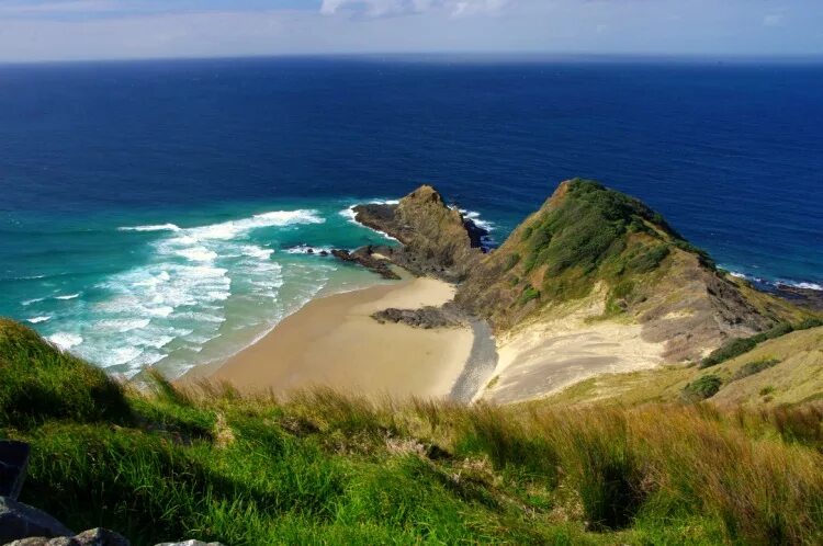 северный остров новая зеландия. окленд айленд остров. северный остров новая зеландия. остров новозеландия. новая зеландия северный остров.