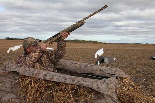 Открытие охоты в оренбургской области. Охота на гуся в Оренбургской области. Охота на утку в Волгоградской области.