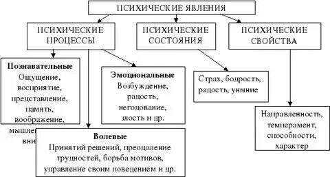 Развитие психологических феноменов