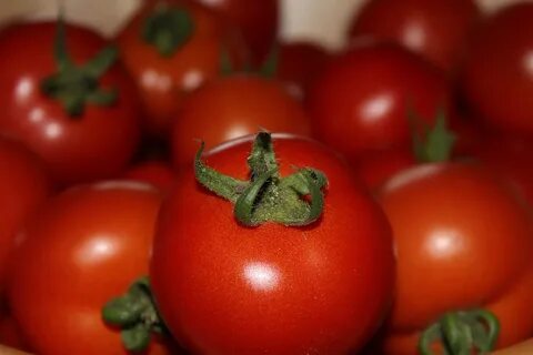 Крупным планом овощи