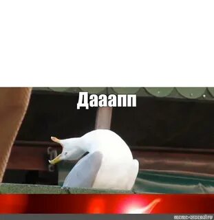 Чайка мем