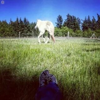Запечатляющие фотографии