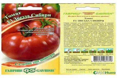 Звезды сибири отзывы