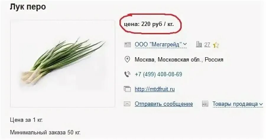 Сушка лука. Куда сдать лук. Куда сдать лук. Лук эксибишен урожай. Хранение лука.