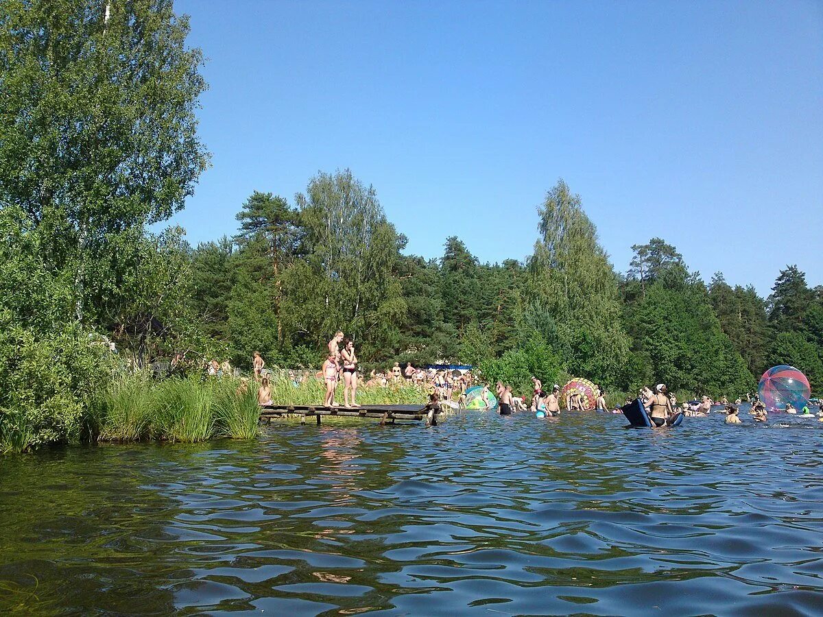 Озеро белое мэрии москвы. Озеро белое бордуковское. бордуковское озеро шатура. озеро белое власово шатурский.
