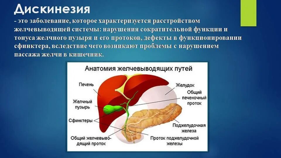 Центр желчного пузыря