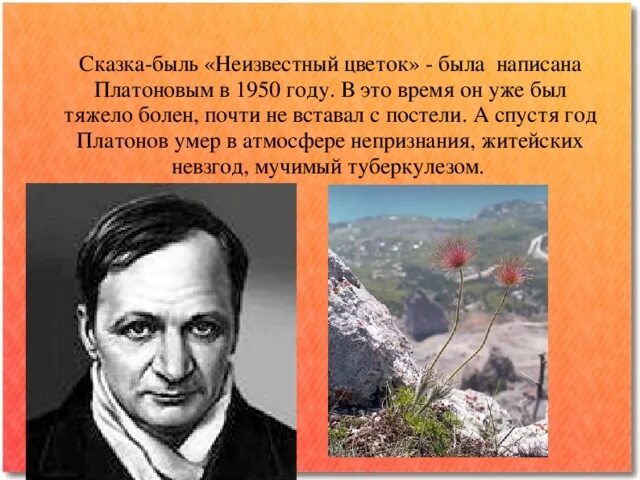 Сказка быль неизвестный цветок. Сказка быль Платонова неизвестный цветок. Платонов а. "неизвестный цветок". Сказки Платонова неизвестный цветок.