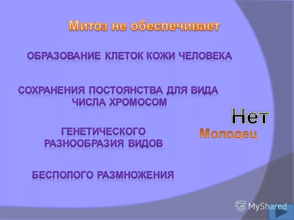 Какое из перечисленных ниже явлений. Митоз не обеспечивает. какое из перечисленных явлений не обеспечивается митозом. митозом не обеспечивается. какое из перечисленных ниже явлений не обеспечивается митозом.