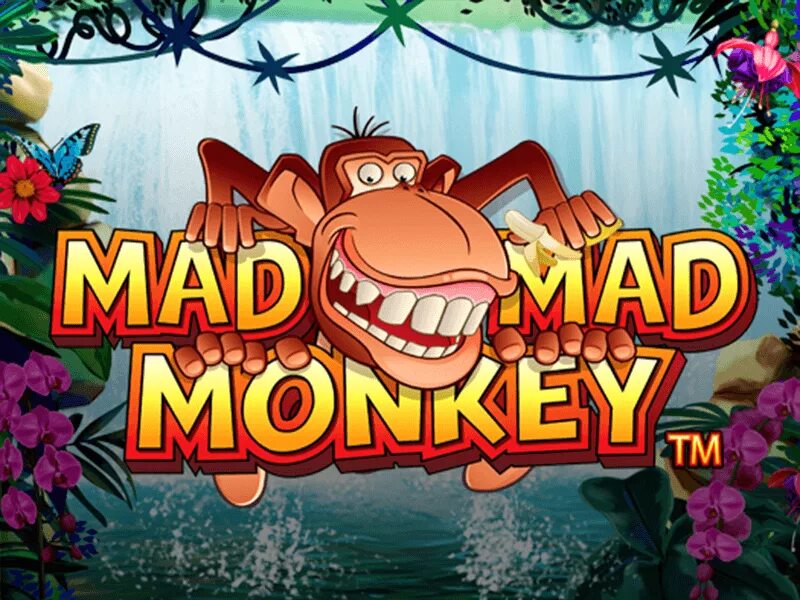 Mad Monkey. Обезьяны слоты. Mad Mad Monkey игровой. Казино игра обезьянки. Демо обезьяны игра