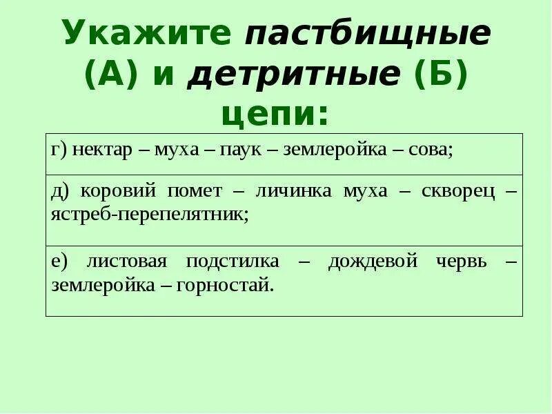 Нектар муха синица цепи